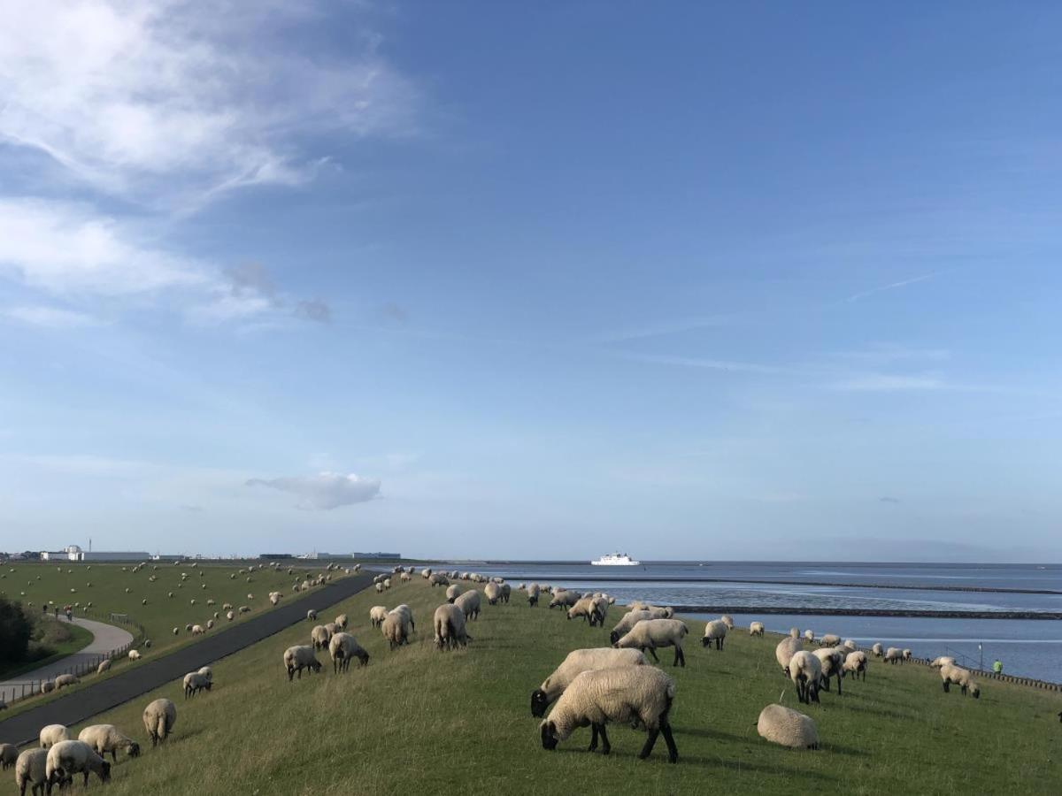 Wind Und Meer - Traumhaft An Der Nordsee Norddeich  Ngoại thất bức ảnh